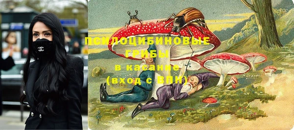 гидра Алексеевка