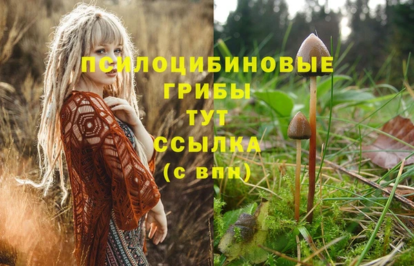 герыч Алексин