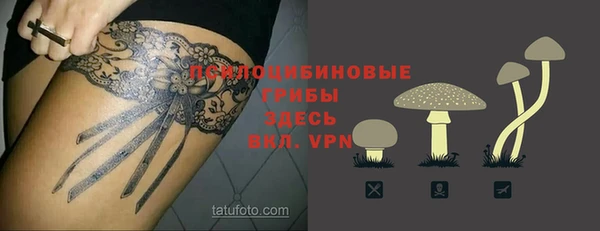 гидра Алексеевка