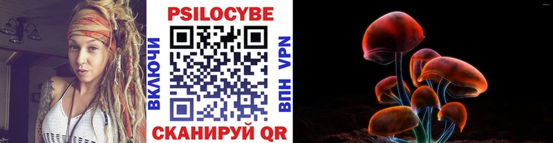 цены мориарти как зайти Псилоцибиновые грибы Psilocybine cubensis Катайск